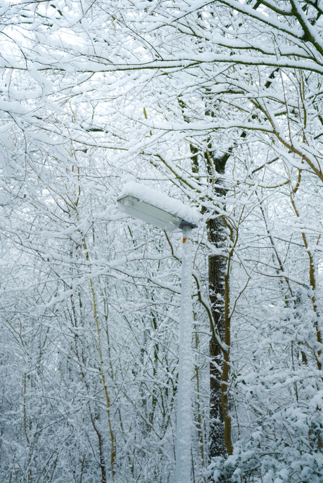 First snow of january 