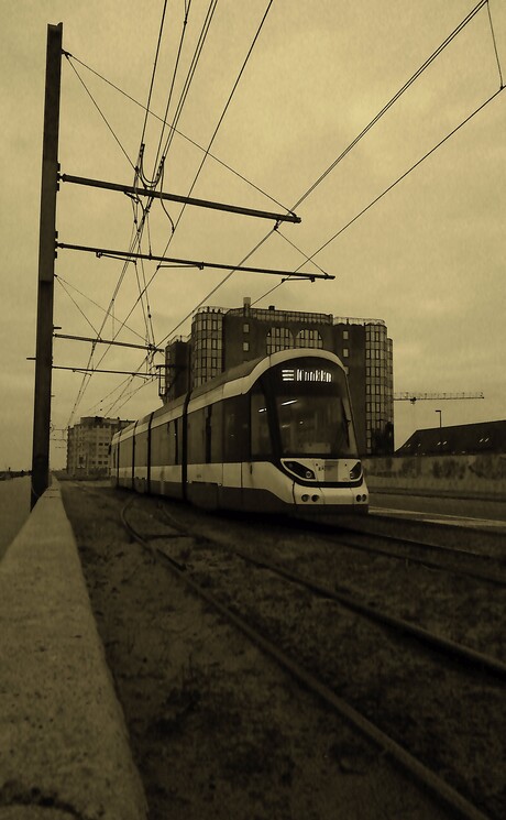 Terug of heen naar Knokke?