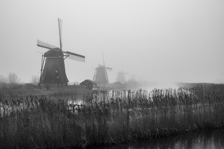 Molens in de mist
