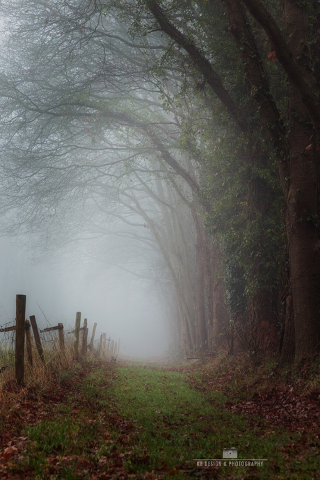 Moody wandeling door het Drentse land