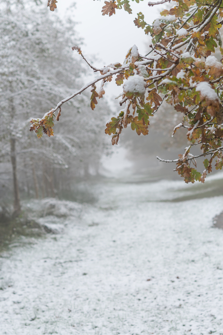 herfst ontmoet winter