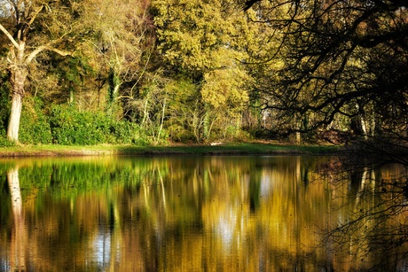 Reflecties in het water 