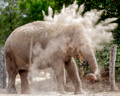 Verfrissende zanddouche