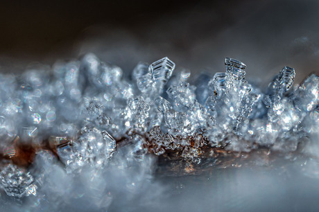 Winter kristal