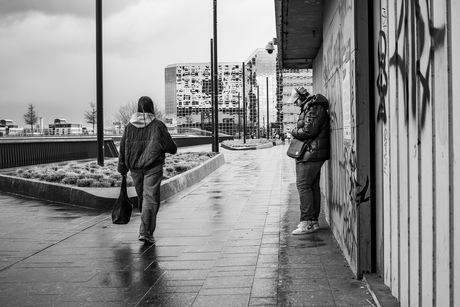 Tussen de regenbuien
