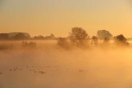 Aan de Maas