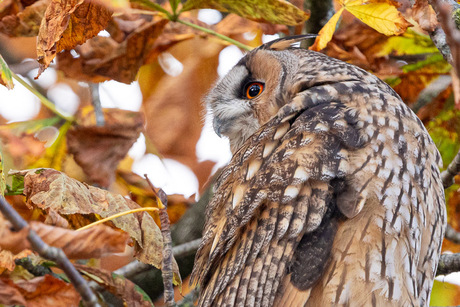 Voor dat de storm.... 