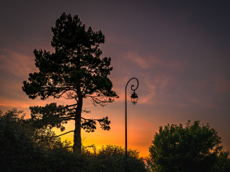 De lampen worden aangestoken…