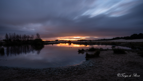 zonsopgang Loonse en Drunense Duinen