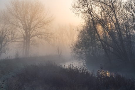 Mistige ochtend