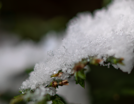 sneeuwlaagje