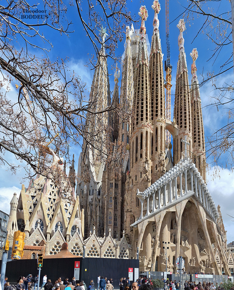 2503090087smpersp2W  Sagrada Familiale kerk