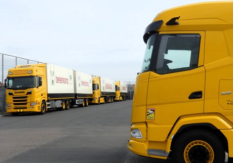 P1300837  Kom  in de Kas  TRUCK TIME    wagenpark  DAF XG en SCANIA  11 april  2026 