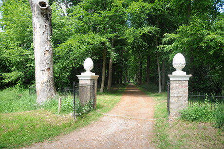 weg