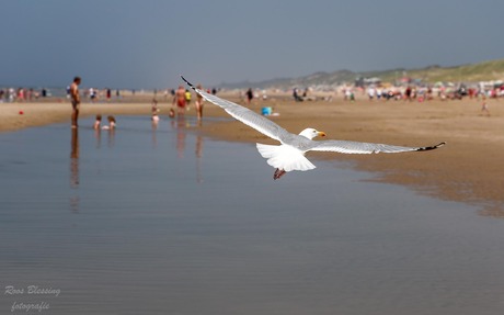 dagje strand