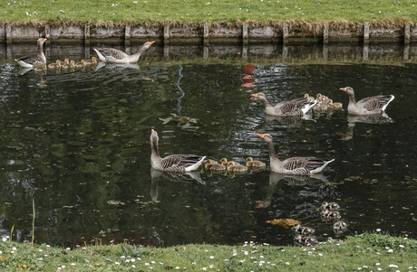 'De Straat van Gans' is weer open