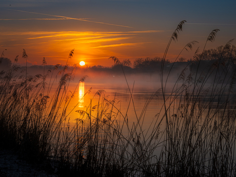 Le Pont d’Avignon 5 …