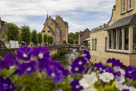 Kasteel Den Halder