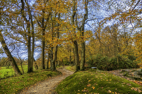 Nog meer bos en nu zelfs droge paden