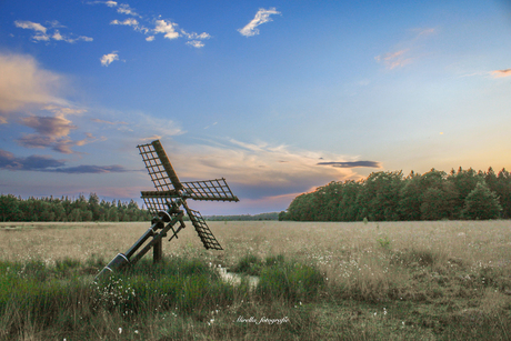 Een tjasker bij zonsondergang. 