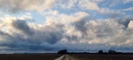 Dwingelderveld 