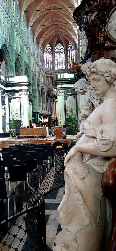 St Baafs cathédrale 