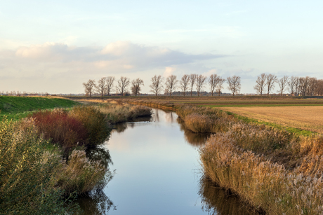 Zeeuws landschapje