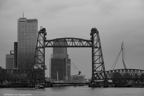 De hef rotterdam met het ms rotterdam