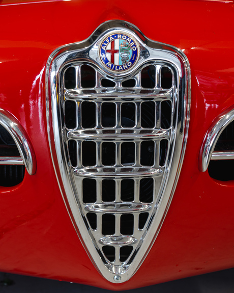 Alfa Romeo Grille