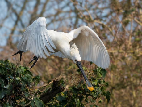 Ik ga even weg hoor...