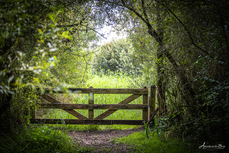 Begin... of het einde?