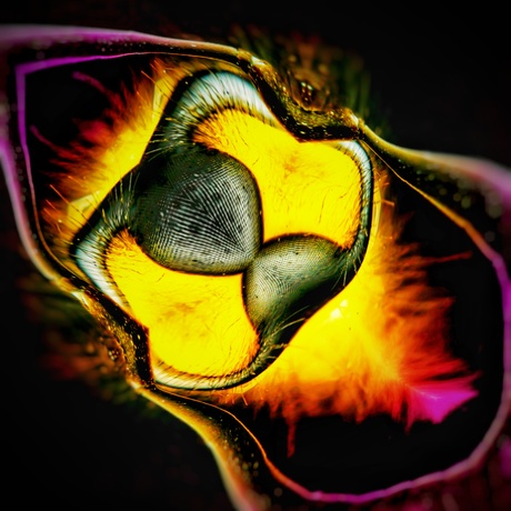 Abstract 