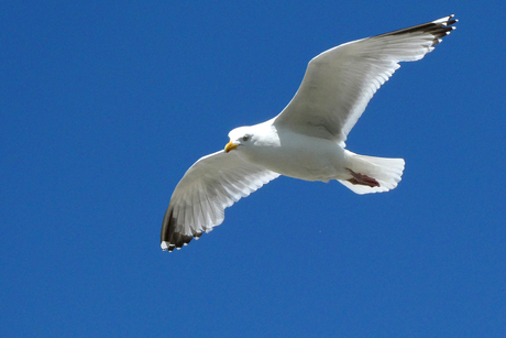 dan liever de lucht in