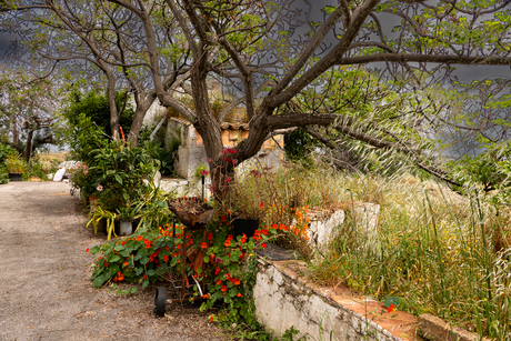 O Tempo Mora Aqui (de tijd woont hier)