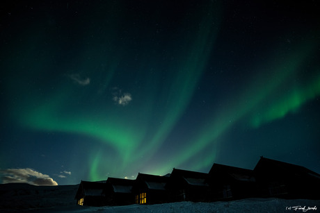 Dancing lights