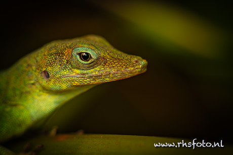 Scherp oog voor detail