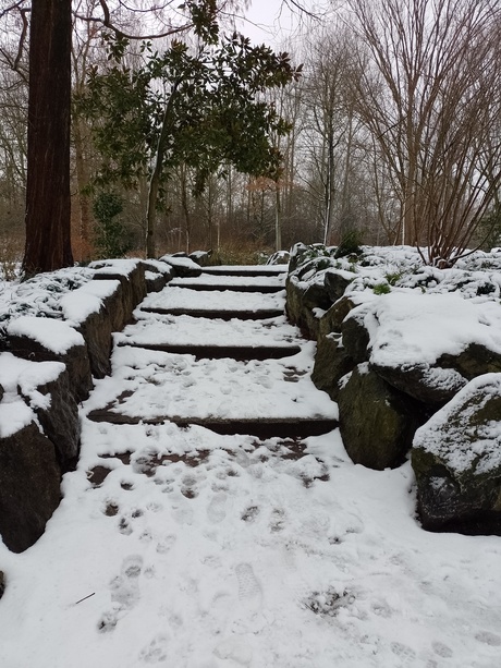 Winter op 7 januari 2026