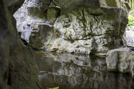 Hortus Botanicus Haren