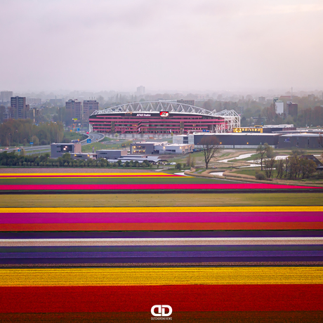 Stadion AZ met een prachtige gekleurd tapijt ervoor 
