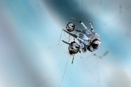 Spin met waterdruppels