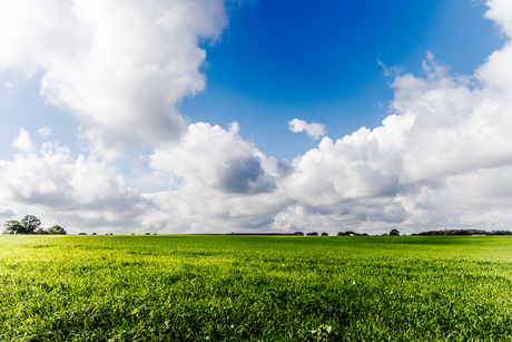 Limburgs landschap (2)