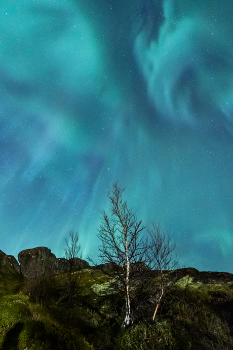 Northern Lights Lofoten