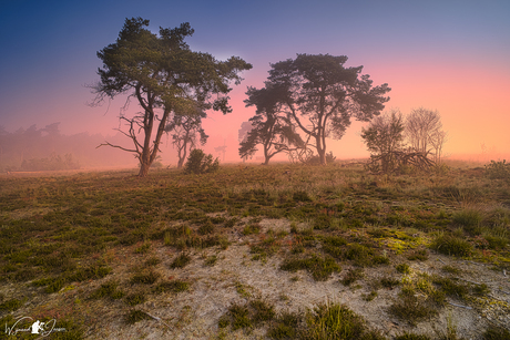 Silence in the early morning