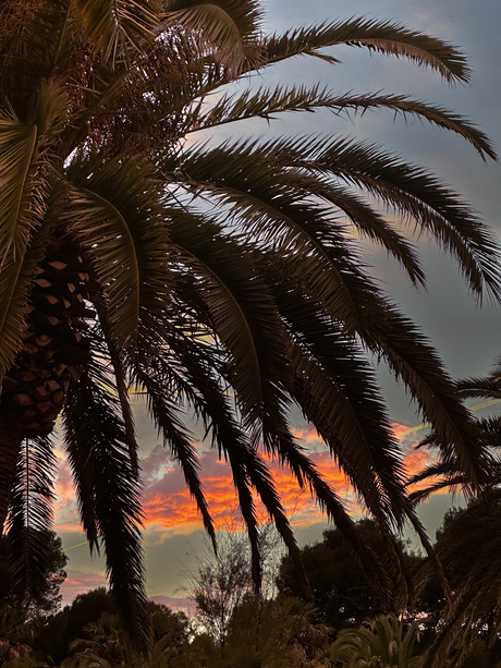 Sunset in Spanje