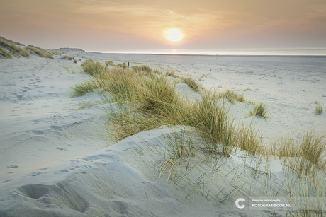 Amelandse kustlijn met uitgestrekte zandvlaktes en karakteristieke duinpartijen