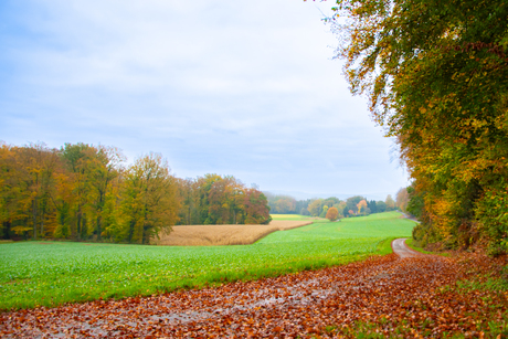 Uitzicht Teutoburgerwald