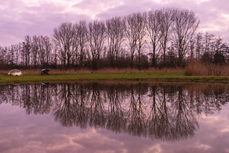 Roze geluksmomentje