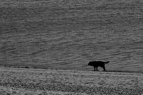 Wandeling