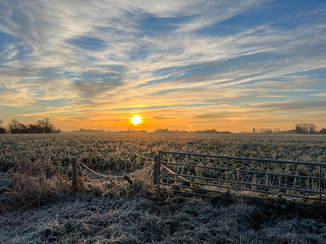 Sunrise frozen mornings