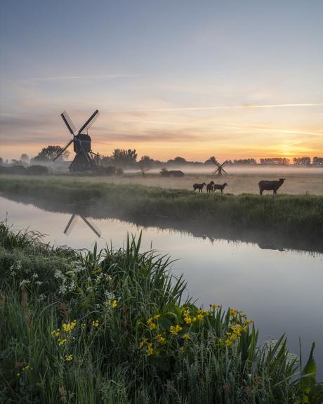 Hollandse Lente